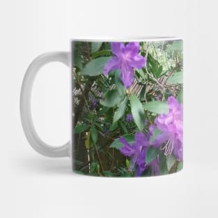 Purple Flowers Nature Photography Pacific Northwest Mug